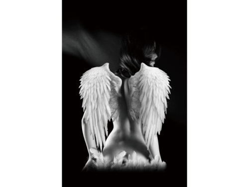 ANGEL.jpg
