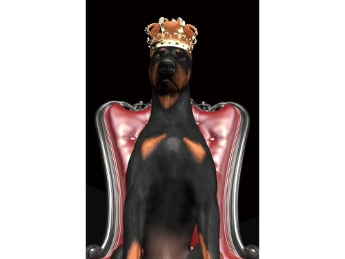 DOG IN CROWN.jpg