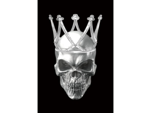 Glassbilde SKULL IL 80x120