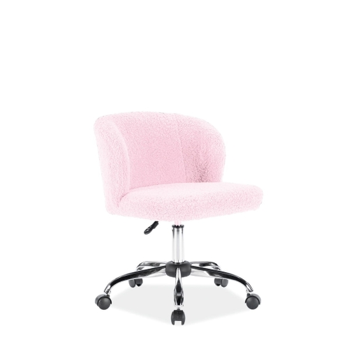 Dolly rosa.jpg