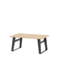 LOFT LT15_salongbord.jpg