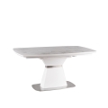 Saturn II ceramic_4.jpg